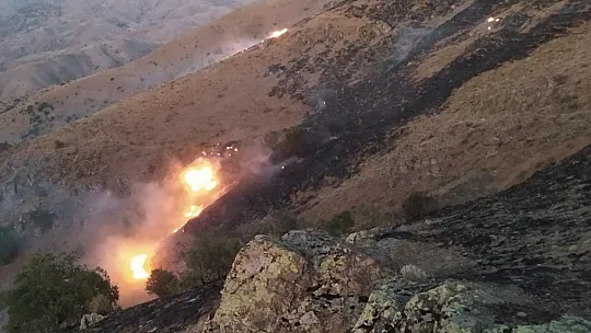 Elazığ'da örtü yangını