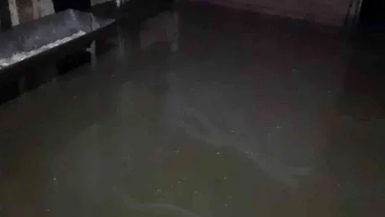 Yazıkonak'ta ahırları su bastı