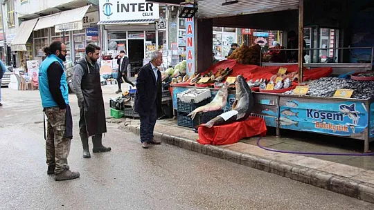 Dev turna balığına 'Yol Yemez' lakabı verildi