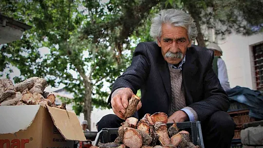 Elazığ'da şifa deposu olarak bilinen ışkın otu kökü tezgahtaki yerini aldı