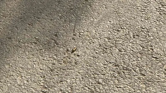 Meydana gelen silahlı kavgada 1 kişi ağır yaralandı
