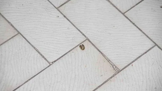 İşletme sahibi tartıştığı şahsı silahla vurarak yaraladı