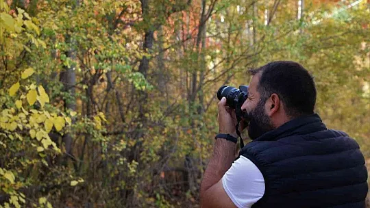 Elazığ'da sonbaharda rengarenk olan ağaçlar havadan görüntülendi