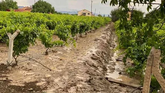 Elazığ'da tarım arazilerini sel vurdu