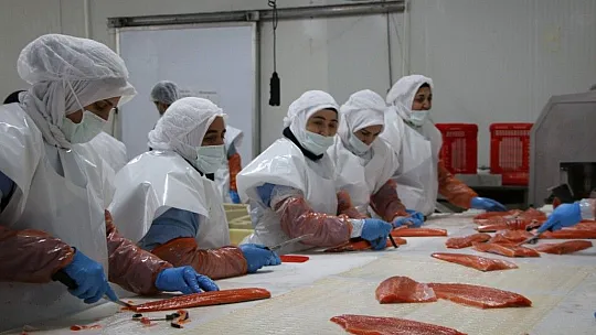 Elazığ'da üretilen 21 bin ton alabalık, 25 Avrupa ülkesine ihraç ediliyor