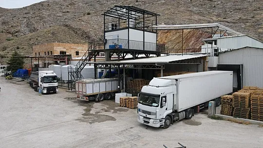 Elazığ'da üretilen 21 bin ton alabalık, 25 Avrupa ülkesine ihraç ediliyor