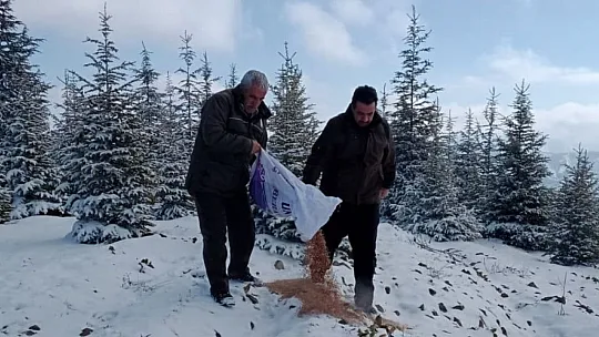 Yaban hayatına destekler sürüyor