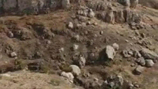 Yaban keçileri tarihi Harput Kalesine indi