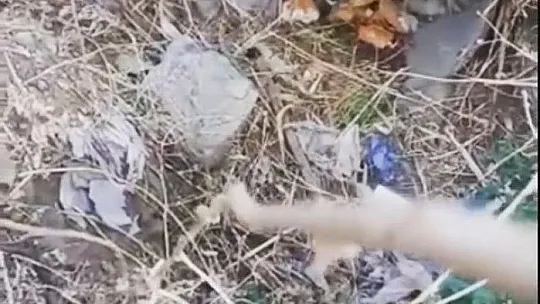 Yaralı halde bulunan köpek itfaiye ekipleri tarafından kurtarıldı
