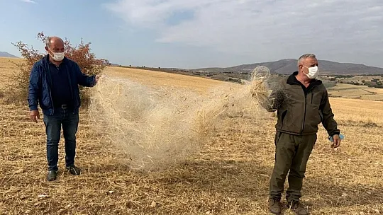 Yasa dışı avcılık yapan 6 kişiye ceza kesildi