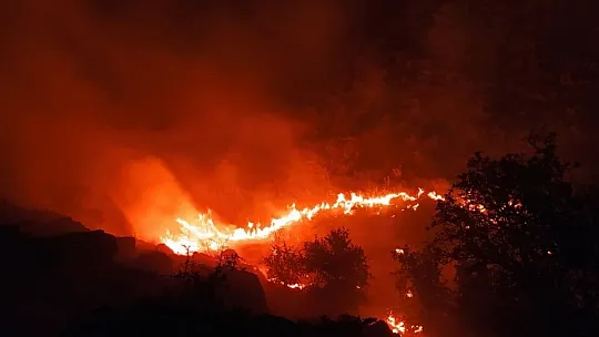 Örtü yangını rüzgarın etkisiyle yeniden alevlendi