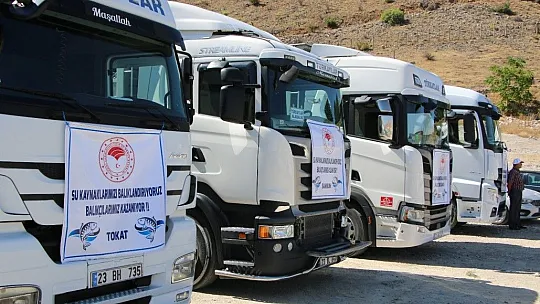 Keban Baraj Gölü'ne 400 bin sazan yavrusu bırakıldı