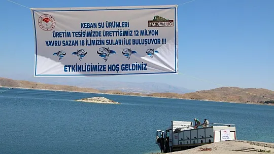 Keban Baraj Gölü'ne 400 bin sazan yavrusu bırakıldı