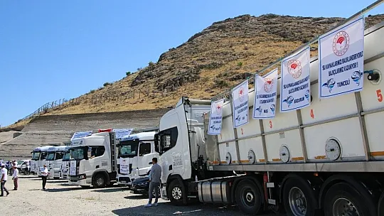 Keban Baraj Gölü'ne 400 bin sazan yavrusu bırakıldı
