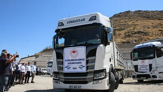 Keban Baraj Gölü'ne 400 bin sazan yavrusu bırakıldı