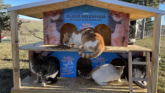 Elazığ Belediyesinden anlamlı farkındalık
