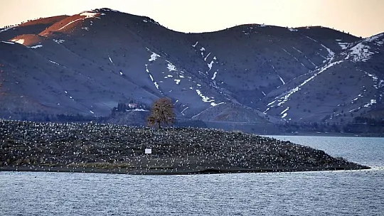 Elazığ'ın doğal güzelliği Hazar Gölü her yıl ziyaretçilerini ağırlıyor