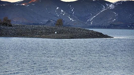 Elazığ'ın doğal güzelliği Hazar Gölü her yıl ziyaretçilerini ağırlıyor