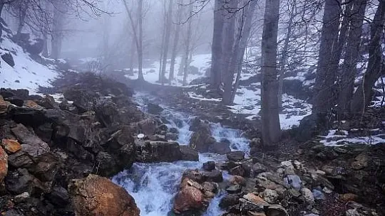 Arıcak'a bağlı şirin köyünden kartpostallık görüntüler