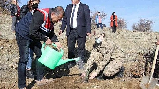 Elazığ Jandarması, Harput'a 2 bin fidan dikti