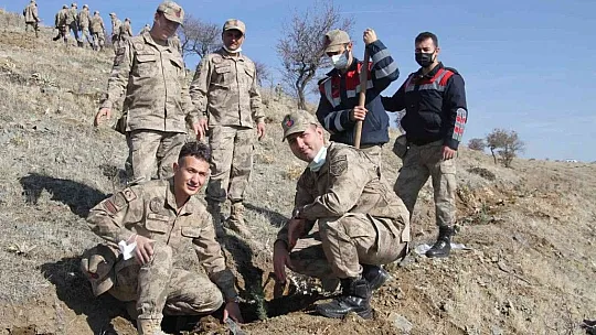 Elazığ Jandarması, Harput'a 2 bin fidan dikti