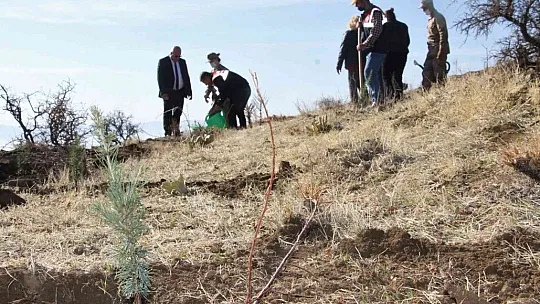 Elazığ Jandarması, Harput'a 2 bin fidan dikti