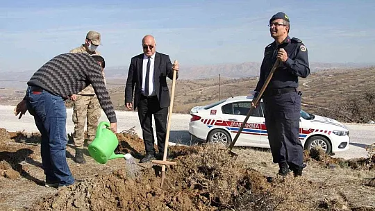 Elazığ Jandarması, Harput'a 2 bin fidan dikti