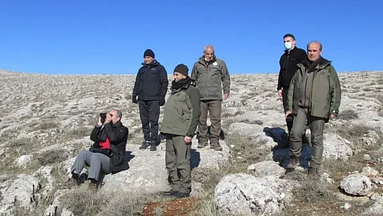 Vali Toraman, dağ keçilerini izleme çalışmasına katıldı