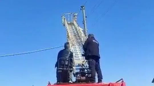 Mahsur kalan kedinin imdadına itfaiye ekipleri yetişti