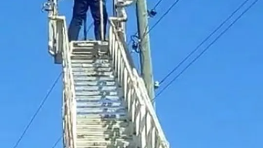 Mahsur kalan kedinin imdadına itfaiye ekipleri yetişti