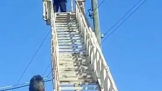 Mahsur kalan kedinin imdadına itfaiye ekipleri yetişti