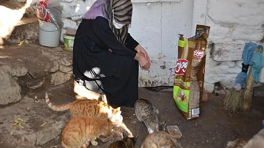 Muşlu Rabia'dan insanlık ölmemiş dedirten hareket