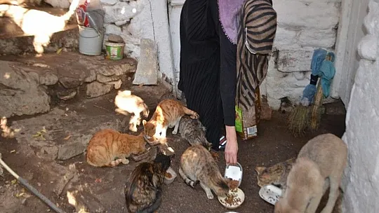 Muşlu Rabia'dan insanlık ölmemiş dedirten hareket
