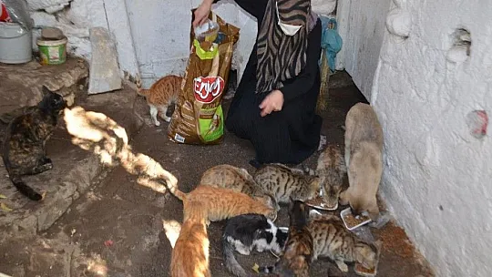 Muşlu Rabia'dan insanlık ölmemiş dedirten hareket