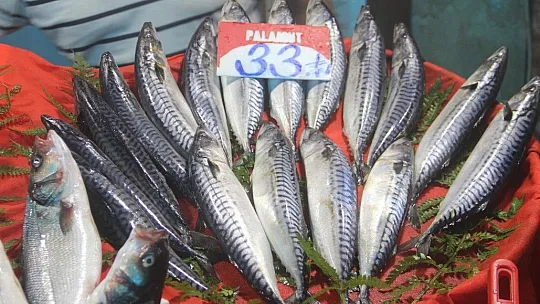 Fiyatlar düştü, balıkçıların yüzü güldü