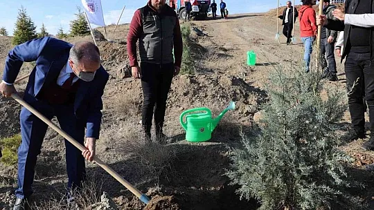 Fırat Üniversitesi'nde 23 bin fidan toprakla buluştu