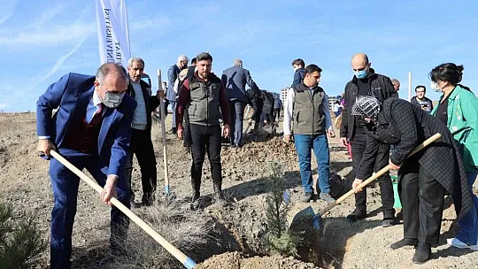 Fırat Üniversitesi'nde 23 bin fidan toprakla buluştu