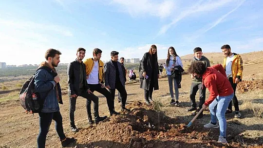 Fırat Üniversitesi'nde 23 bin fidan toprakla buluştu