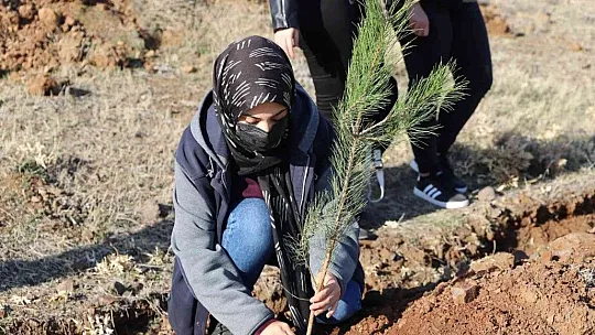 Fırat Üniversitesi'nde 23 bin fidan toprakla buluştu