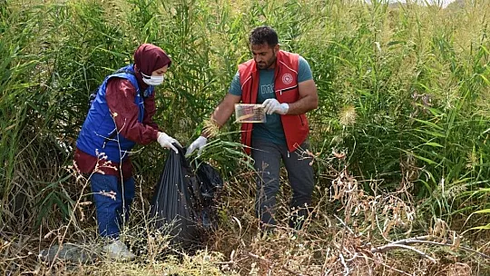Gönüllü gençler, farkındalık oluşturmaya devam ediyor