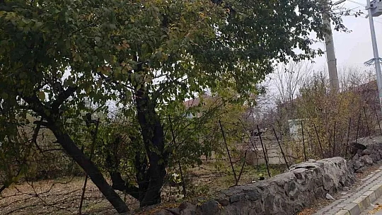 Görenler gözlerine inanamadı