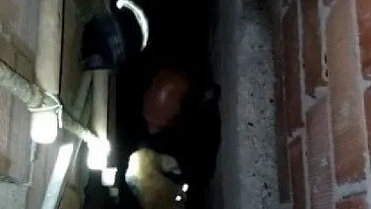 Havalandırma boşluğuna düşen kediyi itfaiye kurtardı
