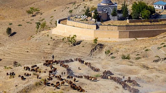 Havanın soğumasıyla yaylalardan ayrılan göçerlerin yolculuğu sürüyor