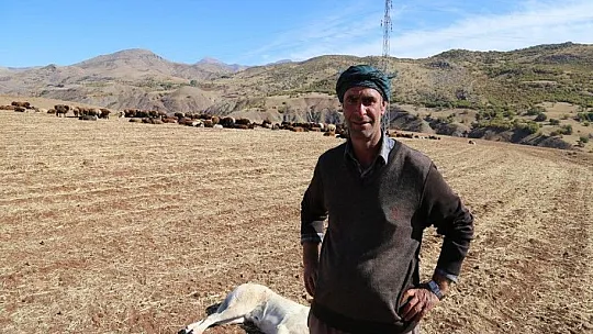 Havanın soğumasıyla yaylalardan ayrılan göçerlerin yolculuğu sürüyor