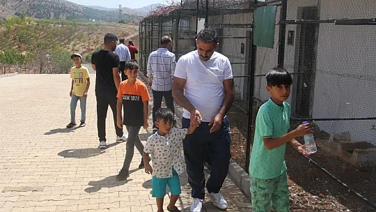 Mehmet Yüksel: Amacım hayvan sevgisi oluşturmak