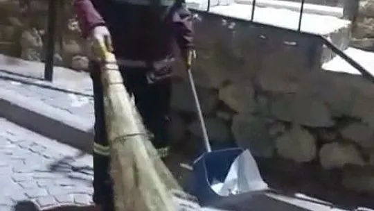 Sokak kedisinin masaj keyfi