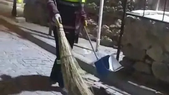 Sokak kedisinin masaj keyfi