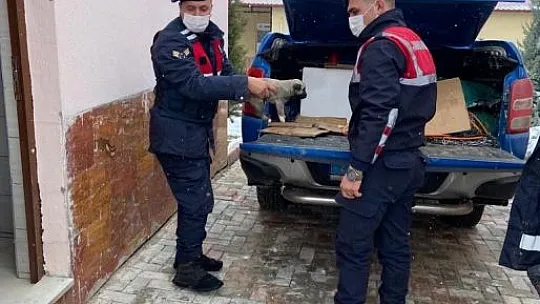 Jandarma yaşam mücadelesi veren sokak hayvanlarını unutmadı