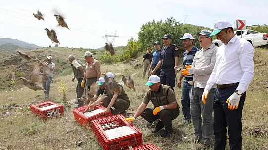 Yaban hayatını destekleme çalışmaları tüm hızıyla sürüyor