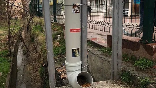 Keban Kaymakamlığı sokak hayvanları için seferber oldu